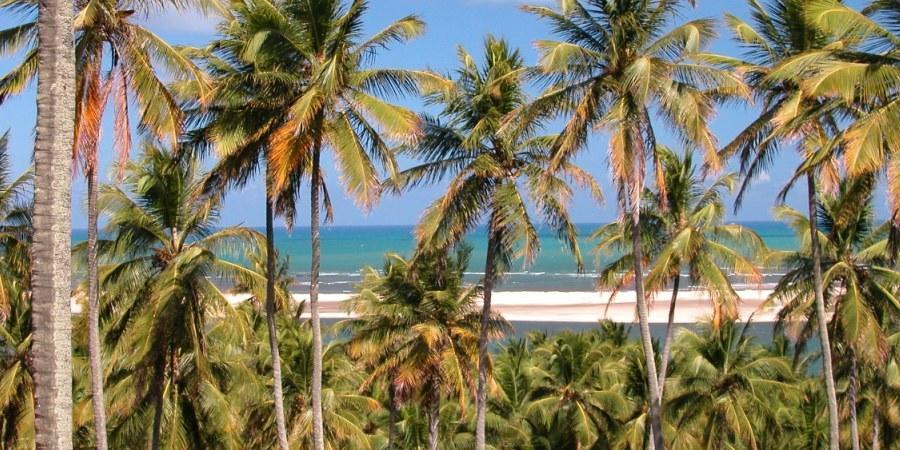 Barravilha Chales Barra do Cunhau Ngoại thất bức ảnh